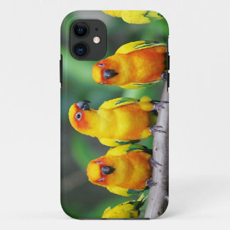 Etui iPhone Case-Mate Sun Conures