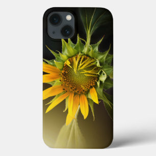 iPhone 13 Coque Sunflower Opening in Full Bloom