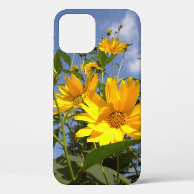 Coques Case-Mate iPhone Sunflowers n Sky (Verso)