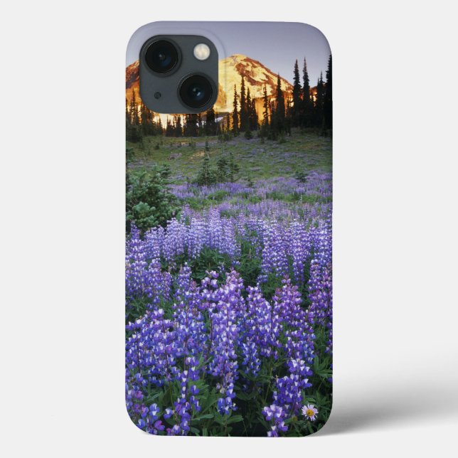 Coques Case-Mate iPhone Sunset over Mt. Adams and a sub-alpine meadow (Verso)