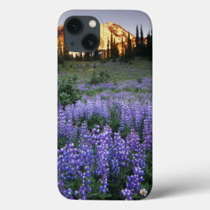 Coque Case-Mate iPhone Sunset over Mt. Adams and a sub-alpine meadow