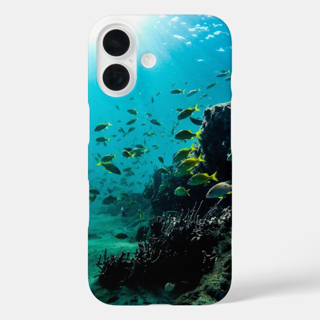 Coques Case-Mate iPhone Sunshine and Tropical Fish (Verso)