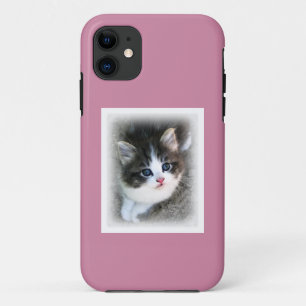 Coque Case-Mate Pour iPhone SUPER CUTE Kitten Portrait Photographie