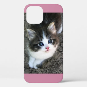 Etui iPhone Case-Mate SUPER CUTE Stray Kitten