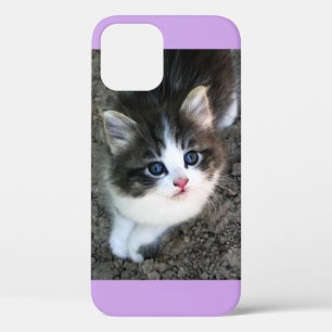 Coque iPhone 12 SUPER CUTE Stray Kitten