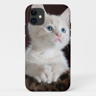Etui iPhone Case-Mate Super mignon Kitten blanc