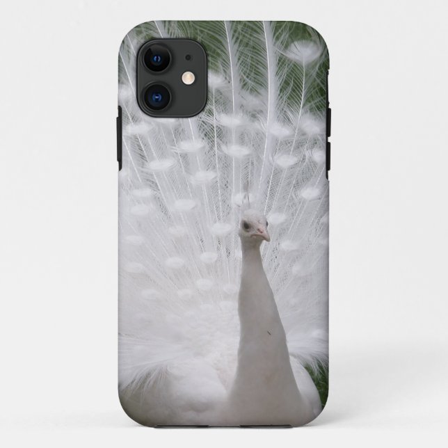 Coques Case-Mate iPhone Superbe blanc Peacock ( Paon) plein plume (Dos)