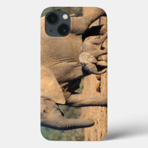 iPhone 13 Coque Sur African Elephant mother and calf on the move