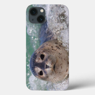 Case-Mate iPhone Case Surfer de bébé phoque