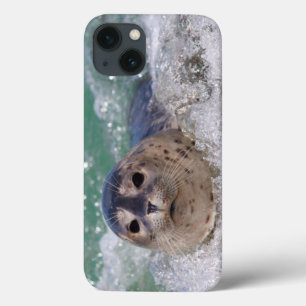 Coque Case-Mate iPhone Surfer de bébé phoque
