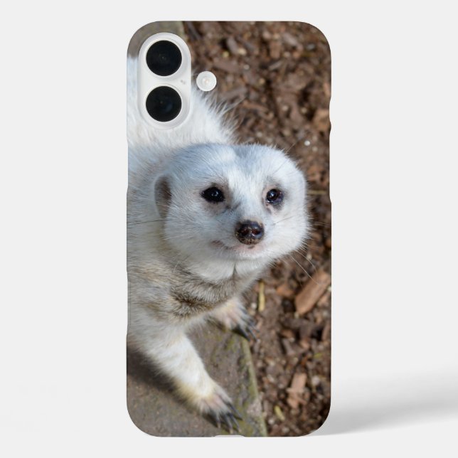 Coques Case-Mate iPhone Suricate Blanche (Verso)