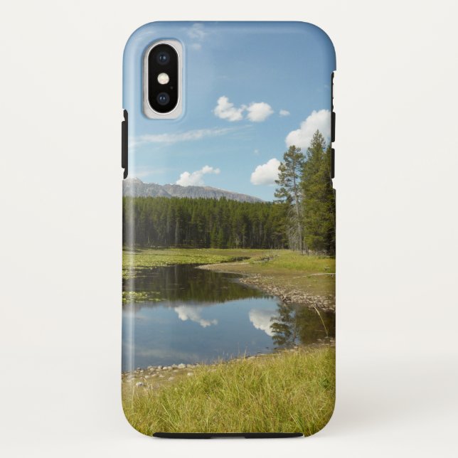 Coques Case-Mate iPhone Swan Lake I au Parc national de Grand Teton (Dos)