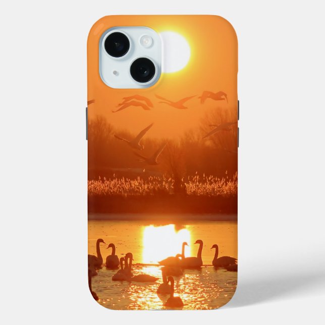 Coques Case-Mate iPhone Swans dans le lac au coucher du soleil (Verso)
