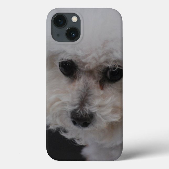 Coques Case-Mate iPhone Sweet Bichon Frise (Verso)