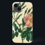 Case-Mate iPhone Case Sweet Briar Rose<br><div class="desc">Floral</div>