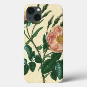 Case-Mate iPhone Case Sweet Briar Rose