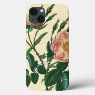iPhone 13 Coque Sweet Briar Rose