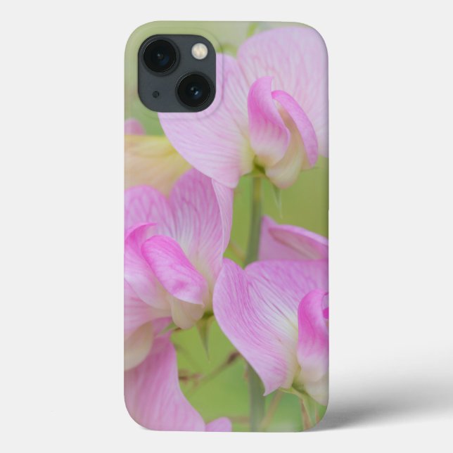 Coques Case-Mate iPhone Sweet Pea Blossoms | Seabeck, WA (Verso)