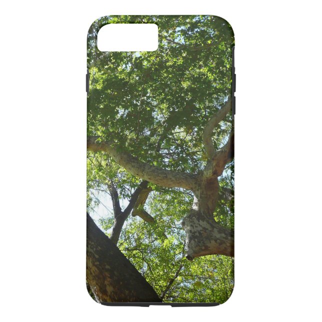 Coques Case-Mate iPhone Sycamore Tree Nature verte (Dos)