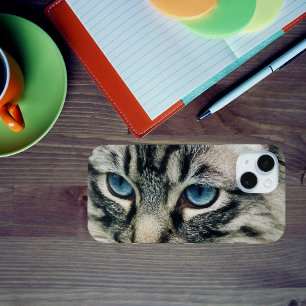 Coque Case-Mate iPhone Tabby Chat aux yeux bleus Gros plan