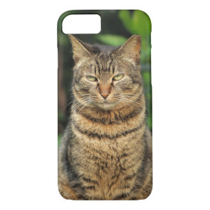 Case-Mate iPhone Case Tabby gris