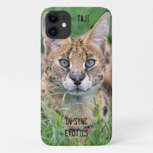 Case-Mate iPhone Case Taji -