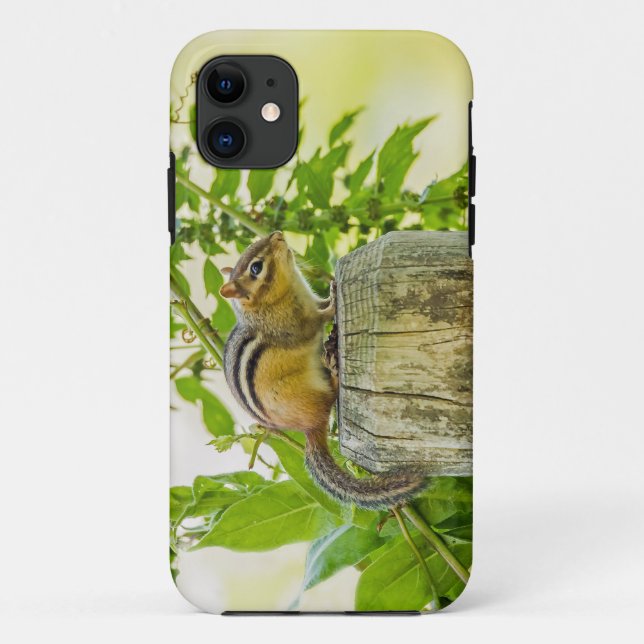 Coques Case-Mate iPhone Tamia sur un poteau de clôture (Dos)