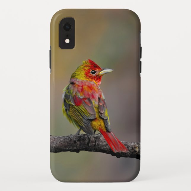 Coques Case-Mate iPhone Tangara écarlate en mue - Photographie originale (Dos)