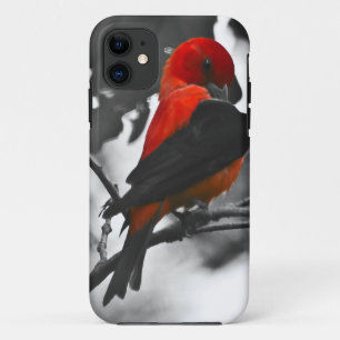 Coque Case-Mate Pour iPhone Tangara écarlate mâle