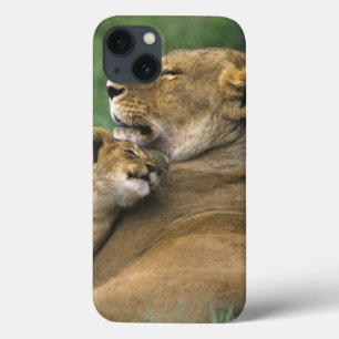 Case-Mate iPhone Case Tanzanie, cratère du Ngorongoro. Lionne africaine