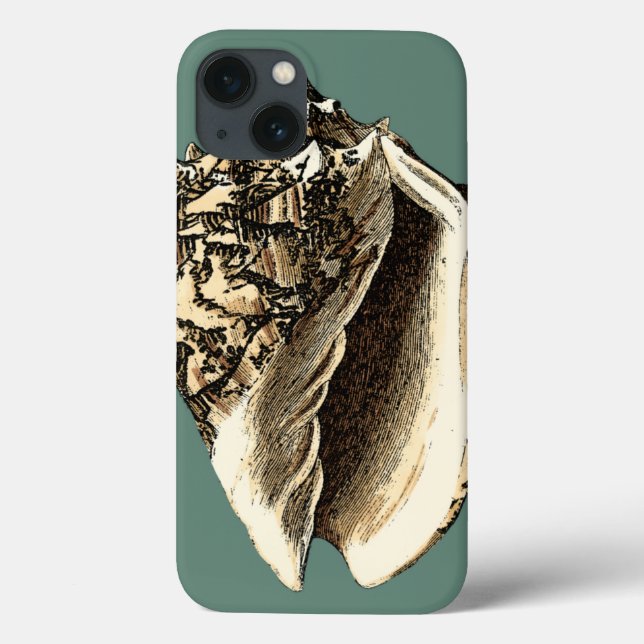 Coques Case-Mate iPhone Teal Conch Shell (Verso)