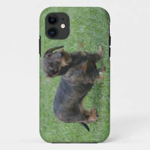 Coques Pour iPhone Teckel d'une chevelure de fil mignon