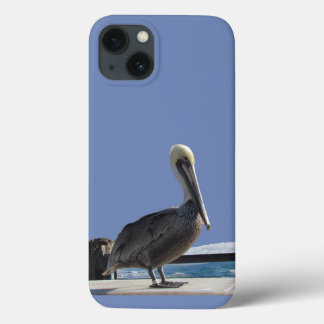 iPhone 13 Coque Téléphone - Pélican bronzant