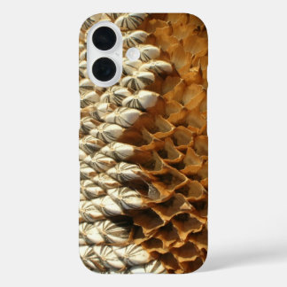 Coque Pour iPhone 16 Téléphone - Tête de tournesol séchée