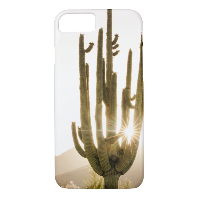 Coques Case-Mate iPhone Téléphone thématique du désert avec Cactus (Dos)