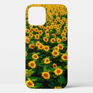 Case-Mate iPhone Case Terrain avec des tournesols jaune vif par jour ens