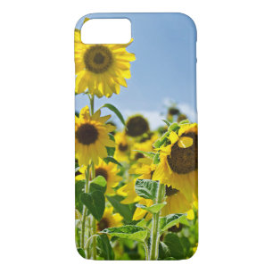 Etui iPhone Case-Mate terrain de tournesol