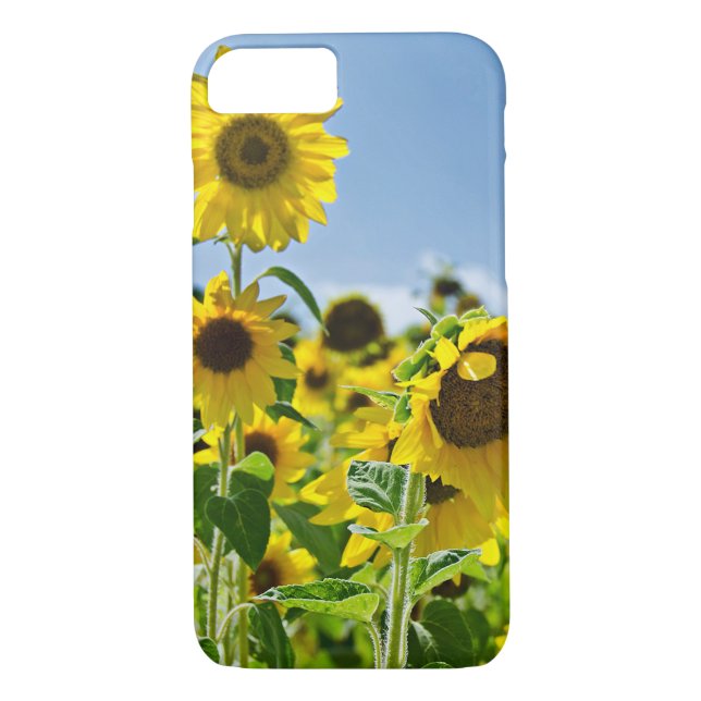 Coques Case-Mate iPhone terrain de tournesol (Dos)
