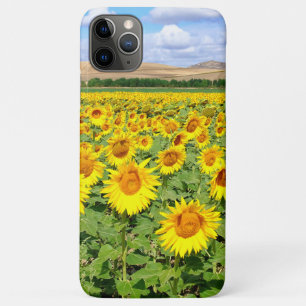 Case-Mate iPhone Case Terrain de tournesol