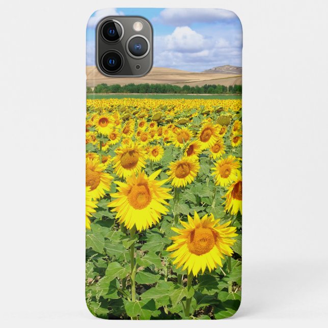 Coques Case-Mate iPhone Terrain de tournesol (Dos)