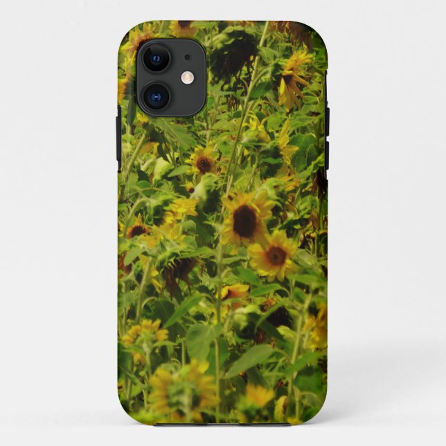 Coques Case-Mate iPhone Terrain de tournesol (Dos)