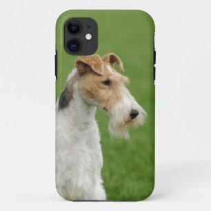 Coque iPhone 11 Terrier Fox