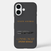 Territoire du Connecticut Animal Physeter macrocep