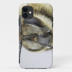 Coque iPhone 11 Tête d'abeille