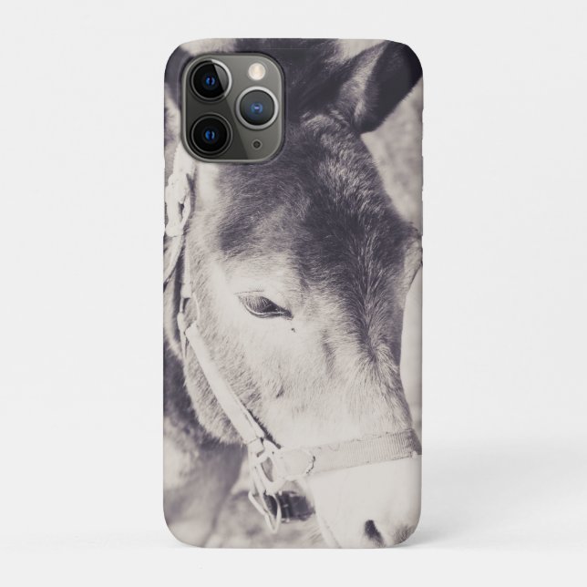 Coques Case-Mate iPhone Tête d'âne 001 (Dos)