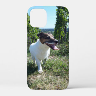 Case-Mate iPhone Case Tête de Capo von Oppenheim Terrier Jack Russell, C