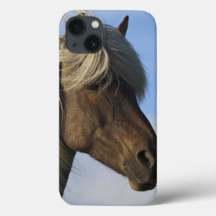 Coques Pour iPhone Tête de cheval islandais, Islande
