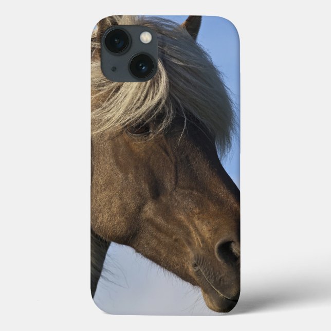 Coques Case-Mate iPhone Tête de cheval islandais, Islande (Verso)