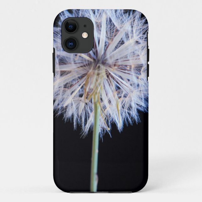 Coques Case-Mate iPhone Tête de graine de pissenlit (Taraxacum Officinale) (Dos)