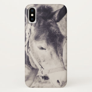 Coque iPhone X Tête de l'âne 001